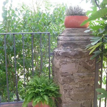 La Plana De Sovelles 公寓 *