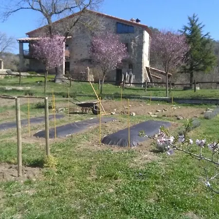 La Plana De Sovelles 公寓 Les Llosses
